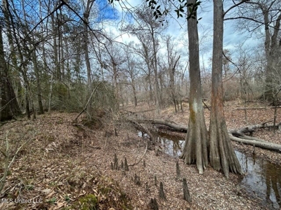 470 Acres on Calcasieu River in Allen Parish, LA - image 38