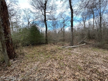Listing 55