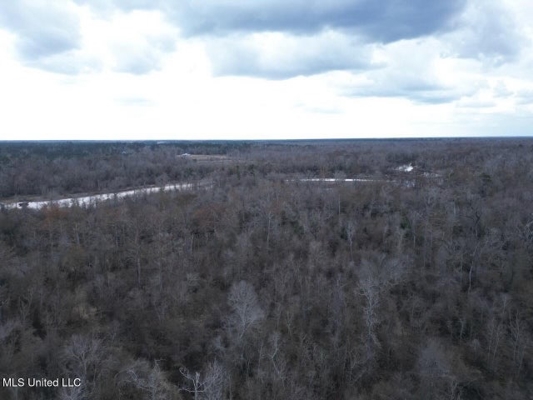 470 Acres on Calcasieu River in Allen Parish, LA