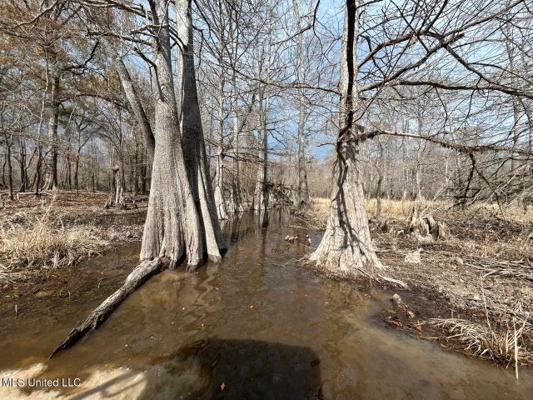 470 Acres on Calcasieu River in Allen Parish, LA