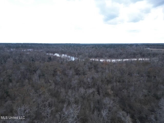 470 Acres on Calcasieu River in Allen Parish, LA