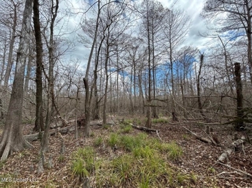 Listing 55