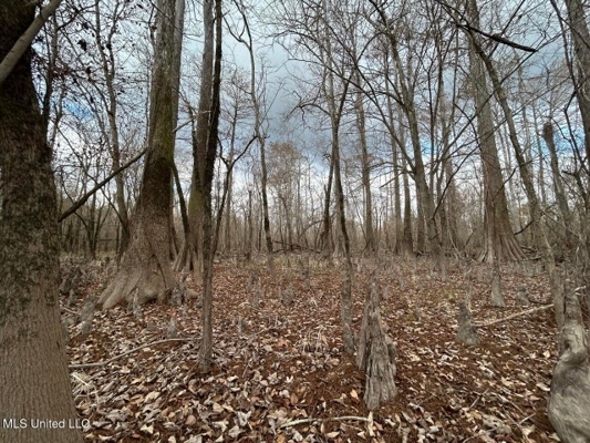 470 Acres on Calcasieu River in Allen Parish, LA