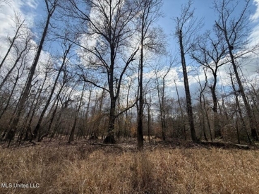 Listing 55