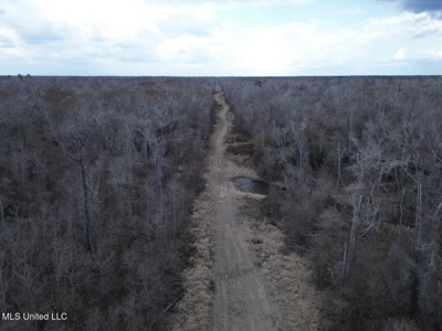 470 Acres on Calcasieu River in Allen Parish, LA - image 2