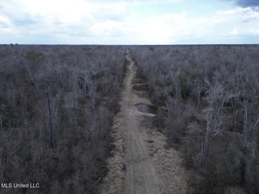 470 Acres on Calcasieu River in Allen Parish, LA