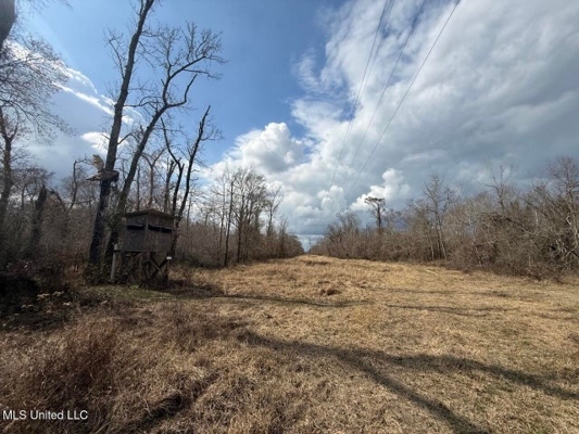470 Acres on Calcasieu River in Allen Parish, LA