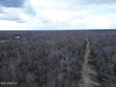 470 Acres on Calcasieu River in Allen Parish, LA - image 7