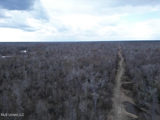 470 Acres on Calcasieu River in Allen Parish, LA