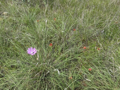 Lake View Lot 274 at Lake Brownwood in The Hideout Golf Resort - image 12