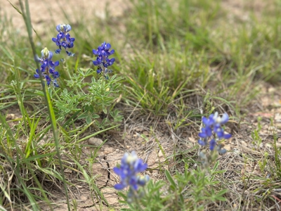 Lake View Lot 274 at Lake Brownwood in The Hideout Golf Resort - image 11