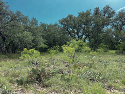 Lake View Lot 274 at Lake Brownwood in The Hideout Golf Resort - image 9