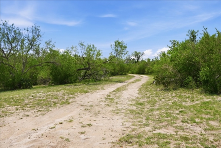 46 Acre South Texas Live Oak County Recreational Ranch - image 39