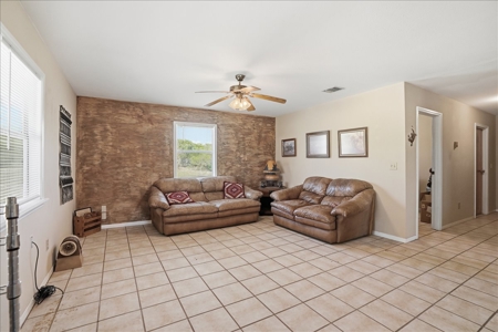 46 Acre South Texas Live Oak County Recreational Ranch - image 6