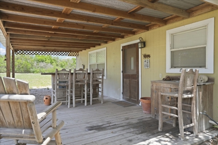 46 Acre South Texas Live Oak County Recreational Ranch - image 19