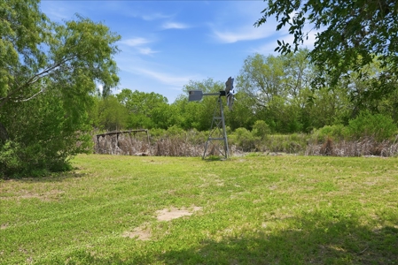 46 Acre South Texas Live Oak County Recreational Ranch - image 38