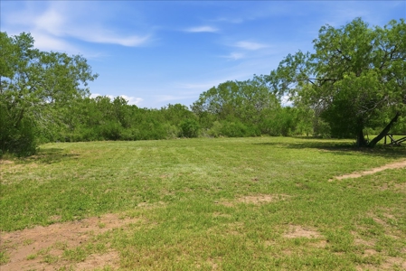 46 Acre South Texas Live Oak County Recreational Ranch - image 37