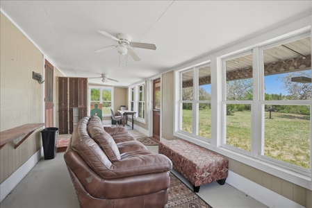 46 Acre South Texas Live Oak County Recreational Ranch - image 16