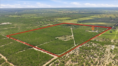 46 Acre South Texas Live Oak County Recreational Ranch - image 48