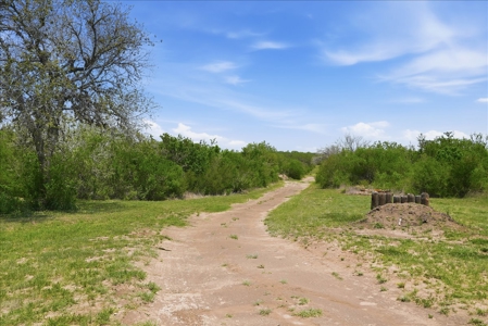 46 Acre South Texas Live Oak County Recreational Ranch - image 43