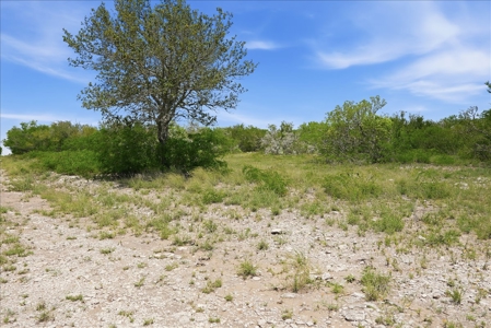 46 Acre South Texas Live Oak County Recreational Ranch - image 44