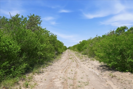 46 Acre South Texas Live Oak County Recreational Ranch - image 41