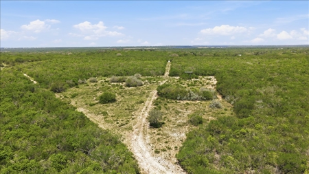 46 Acre South Texas Live Oak County Recreational Ranch - image 47