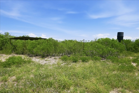 46 Acre South Texas Live Oak County Recreational Ranch - image 45
