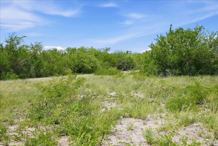 46 Acre South Texas Live Oak County Recreational Ranch - image 36