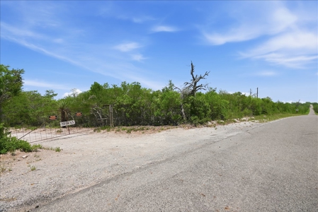 46 Acre South Texas Live Oak County Recreational Ranch - image 35