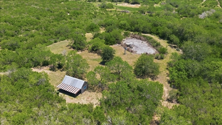 46 Acre South Texas Live Oak County Recreational Ranch - image 46
