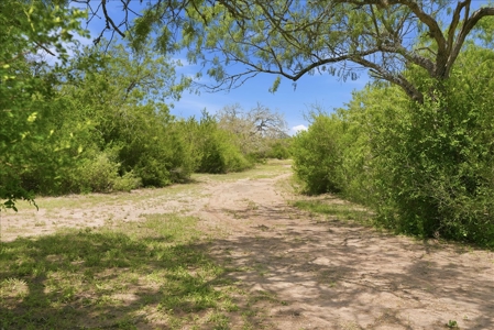 46 Acre South Texas Live Oak County Recreational Ranch - image 40