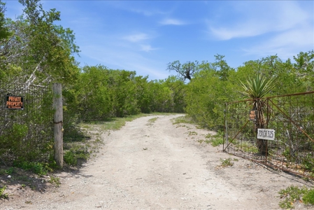 46 Acre South Texas Live Oak County Recreational Ranch - image 34