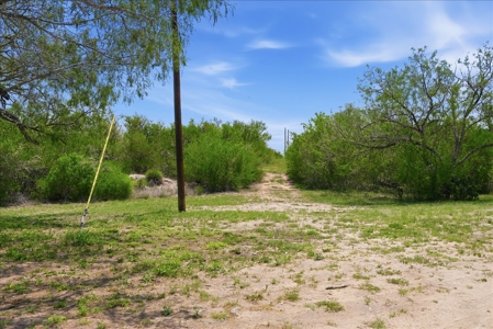 46 Acre South Texas Live Oak County Recreational Ranch - image 42