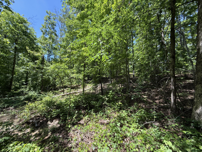 Wooded Land, Near Pickwick Lake, Land To Build On, Hunting Land - image 22