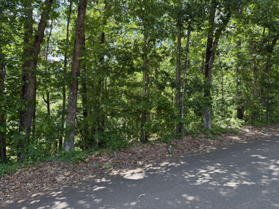 Wooded Land, Near Pickwick Lake, Land To Build On, Hunting Land - image 19
