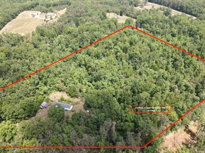 Wooded Land, Near Pickwick Lake, Land To Build On, Hunting Land - image 10