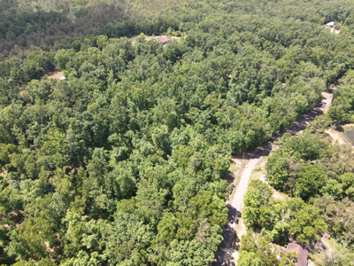 Wooded Land, Near Pickwick Lake, Land To Build On, Hunting Land - image 12