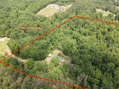 Wooded Land, Near Pickwick Lake, Land To Build On, Hunting Land - image 9