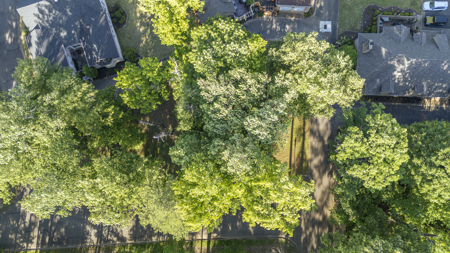 Building Lot for Sale in The Highlands Community of Jackson, TN - image 8