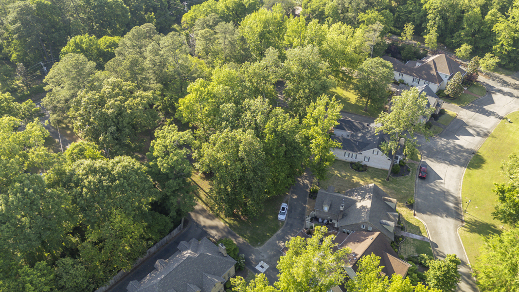 No Caption