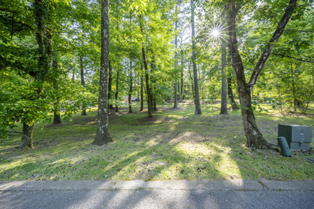 Building Lot for Sale in The Highlands Community of Jackson, TN - image 5