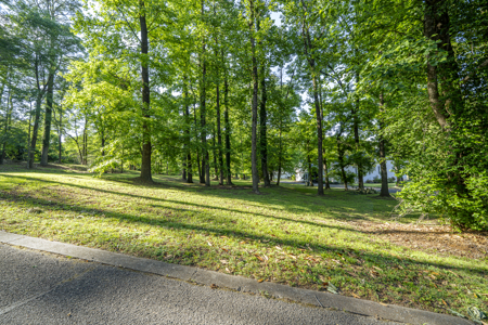 Ideal Building Lot for Sale in Jackson, Tennessee - image 6