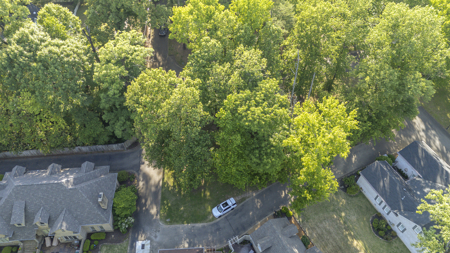 Ideal Building Lot for Sale in Jackson, Tennessee - image 8