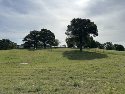 East Texas Home On Acreage For Sale - image 4