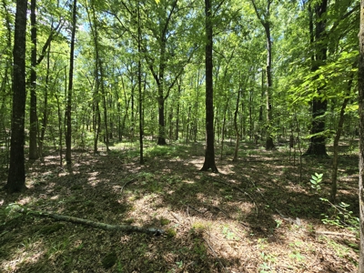 Building Lot – National Forest – Billy Creek Recreational Area - image 9