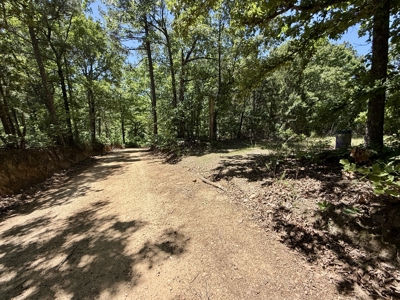 Hunting Land For Sale In North Central Arkansas - image 6