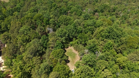 Hunting Land For Sale In North Central Arkansas - image 8