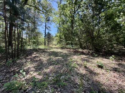 Hunting Land For Sale In North Central Arkansas - image 13