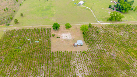 40-Acre North Florida Homestead & Timber Investment For Sale - image 10